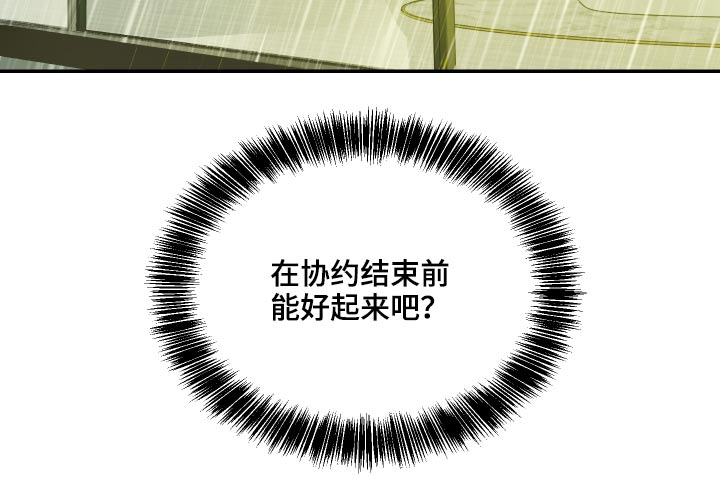 第23章：约束24