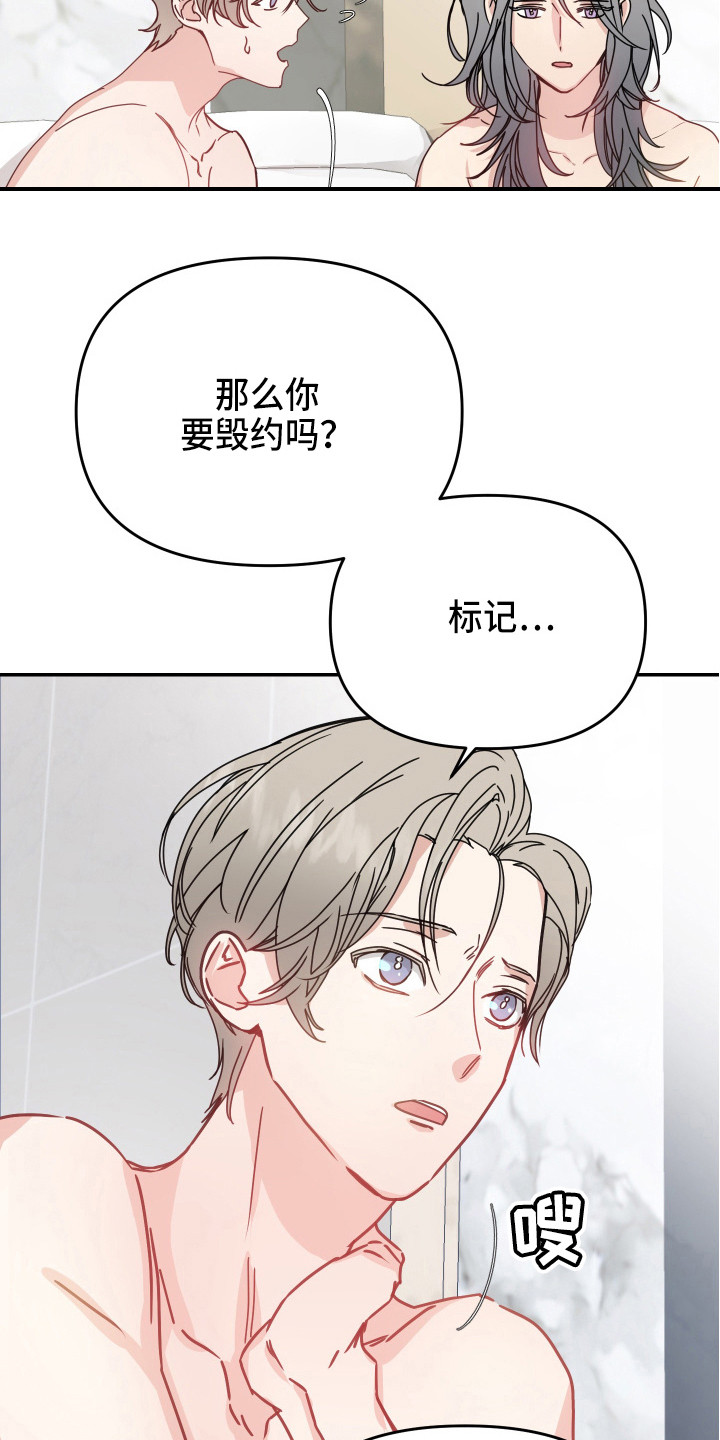 第11章：安排3