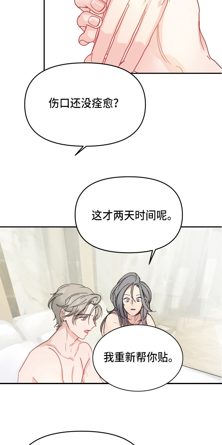 第11章：安排12