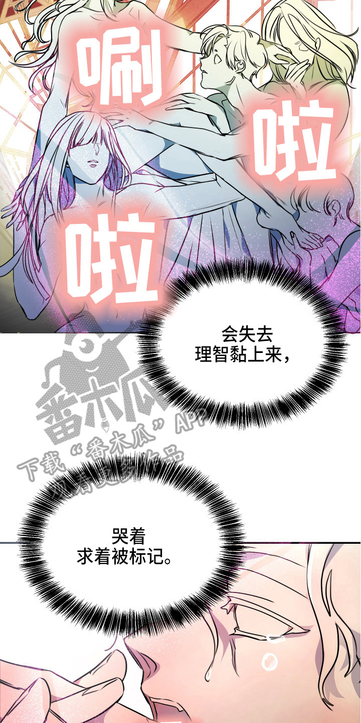 第5章：条件1