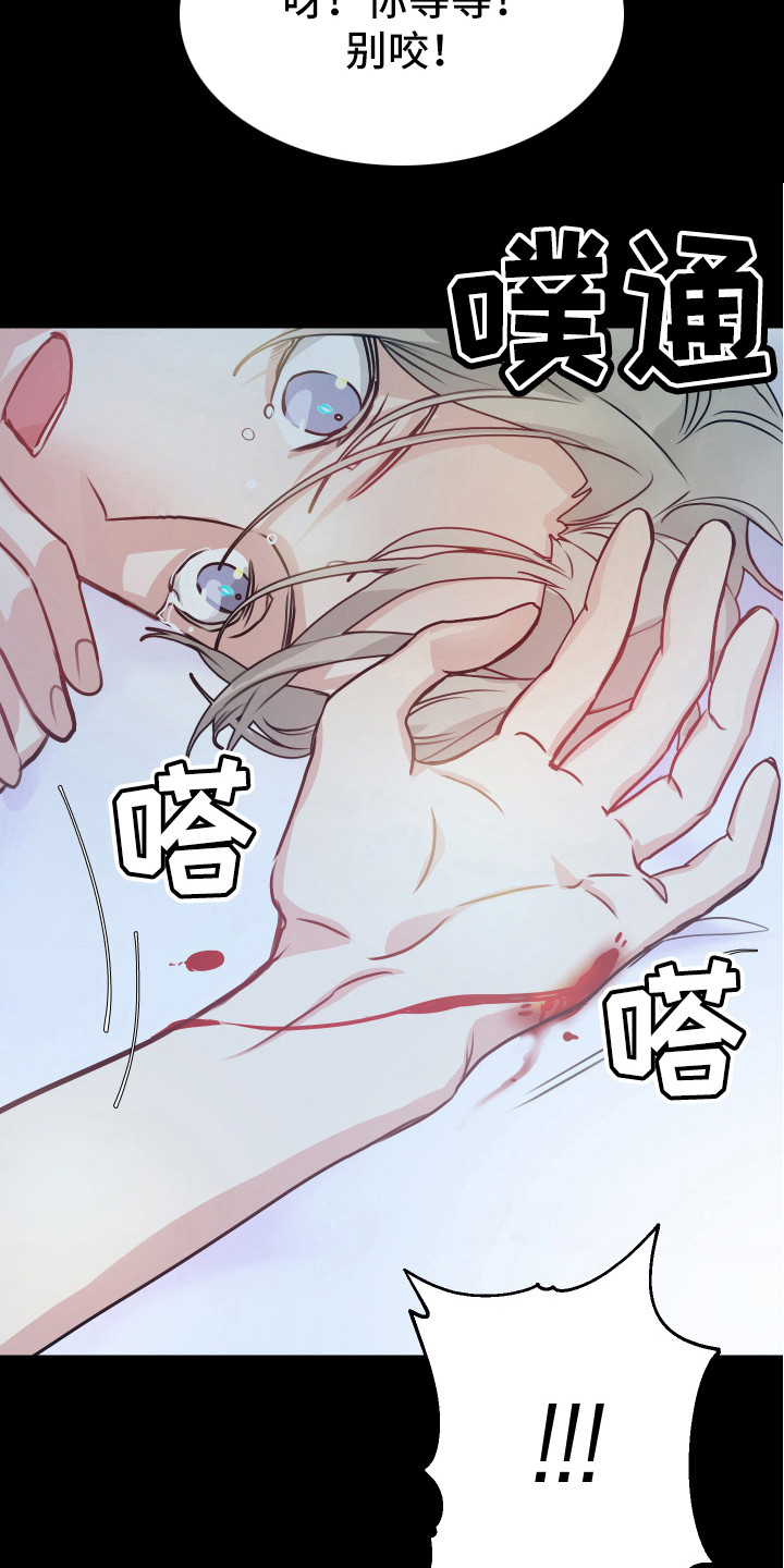 第7章：测试通过6