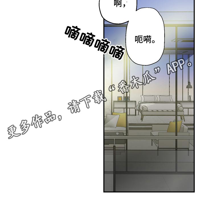 第50章：变得奇怪15