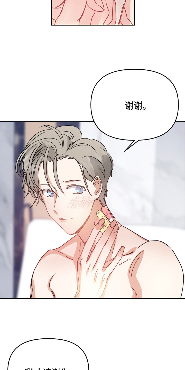 第11章：安排15