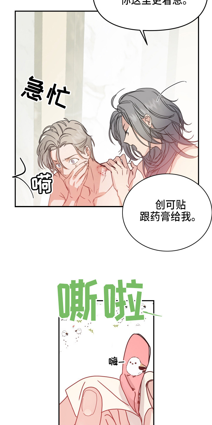 第11章：安排14