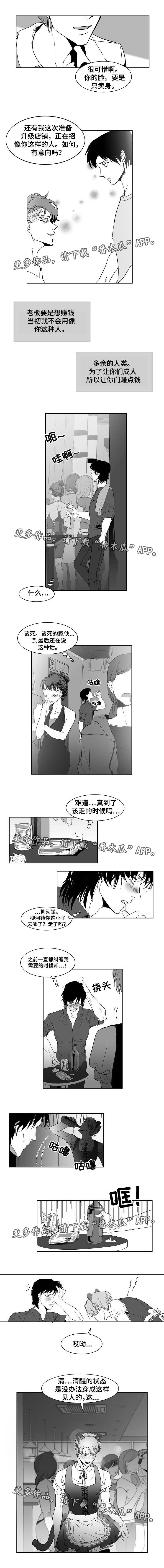 第19章：什么样子3