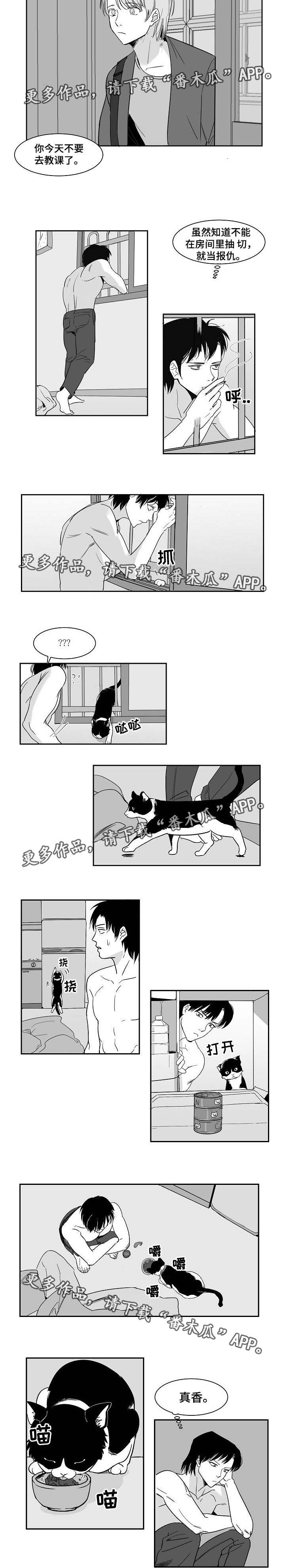 第26章：甘愿受罚2