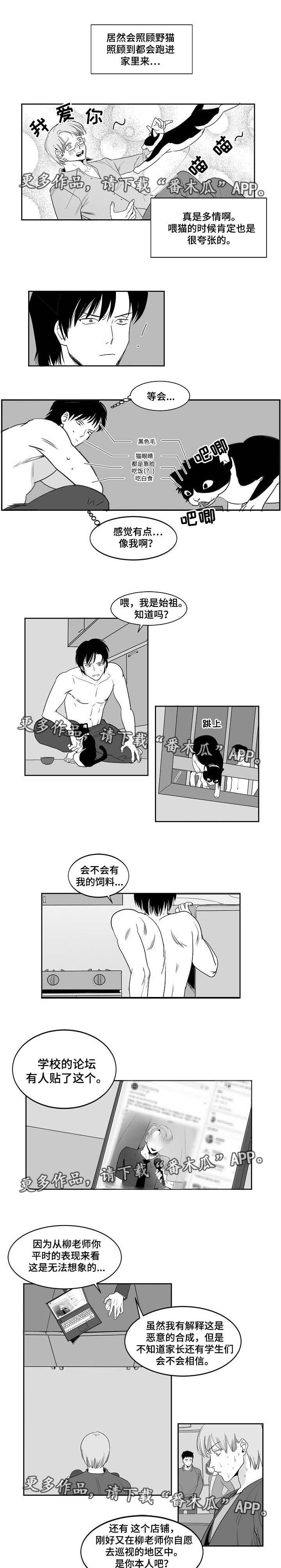 第26章：甘愿受罚3