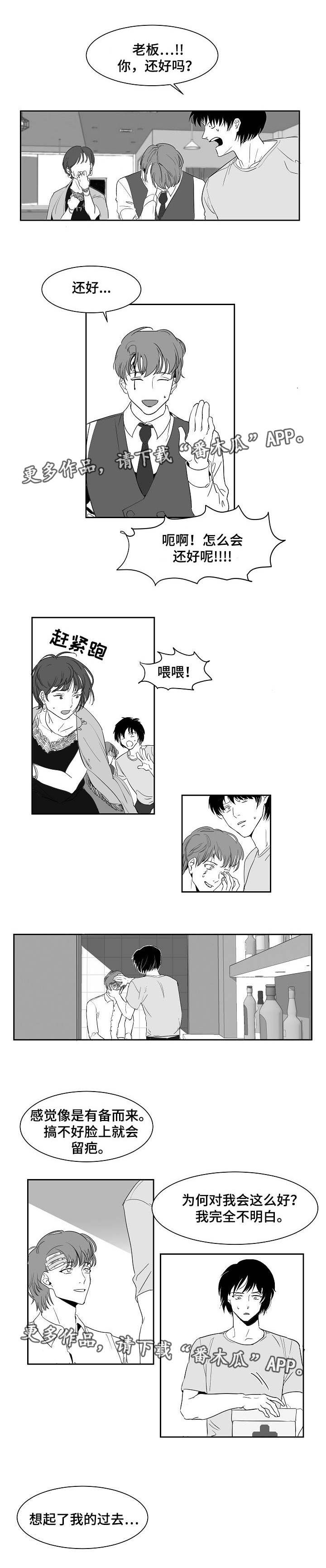 第19章：什么样子2