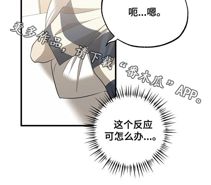 第29章：不要在意17