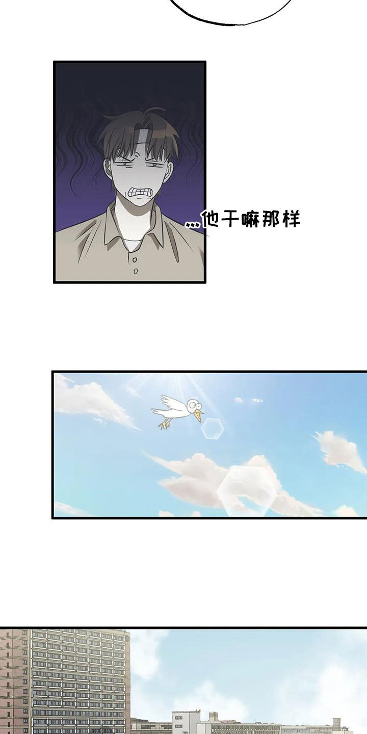 第23章：机会8