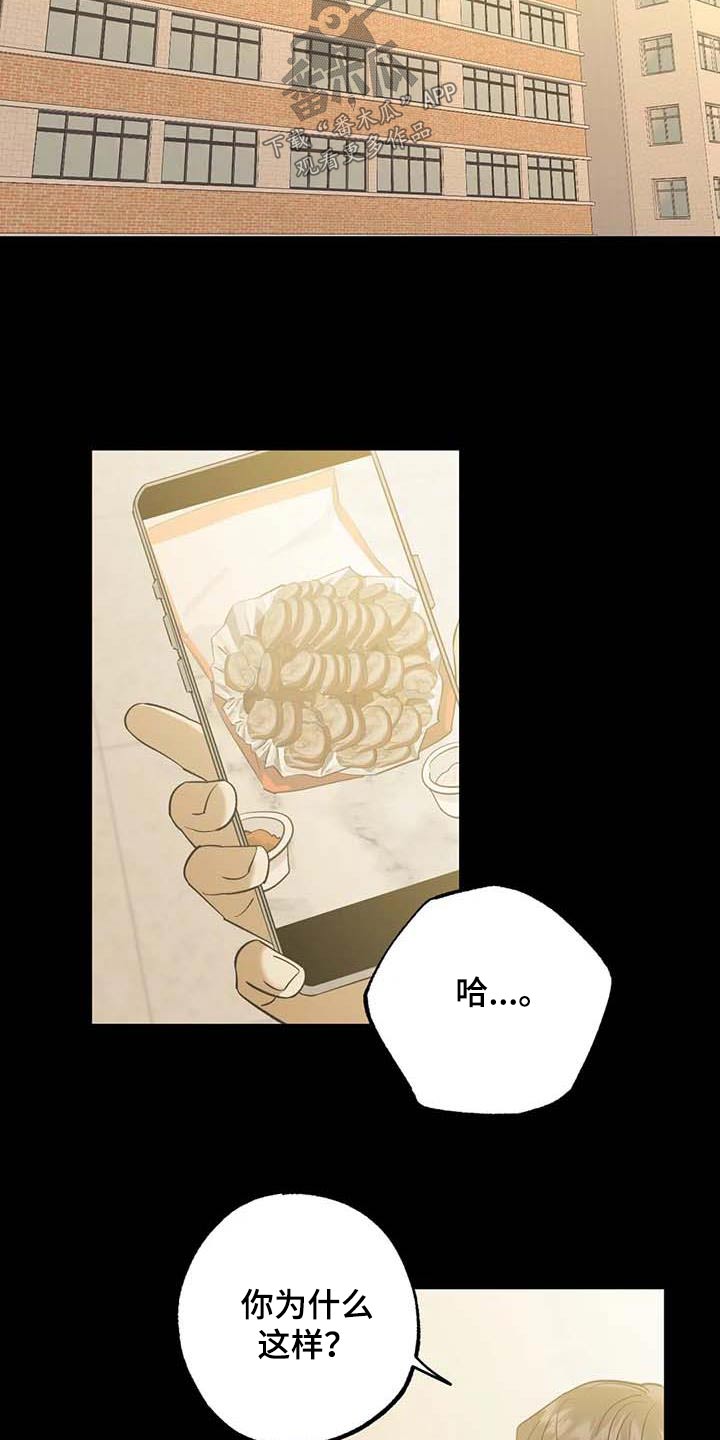 第79章：朋友5