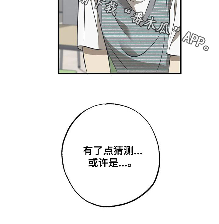 第33章：猜测19