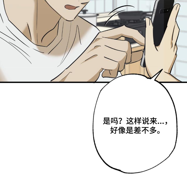 第91章：新手机13