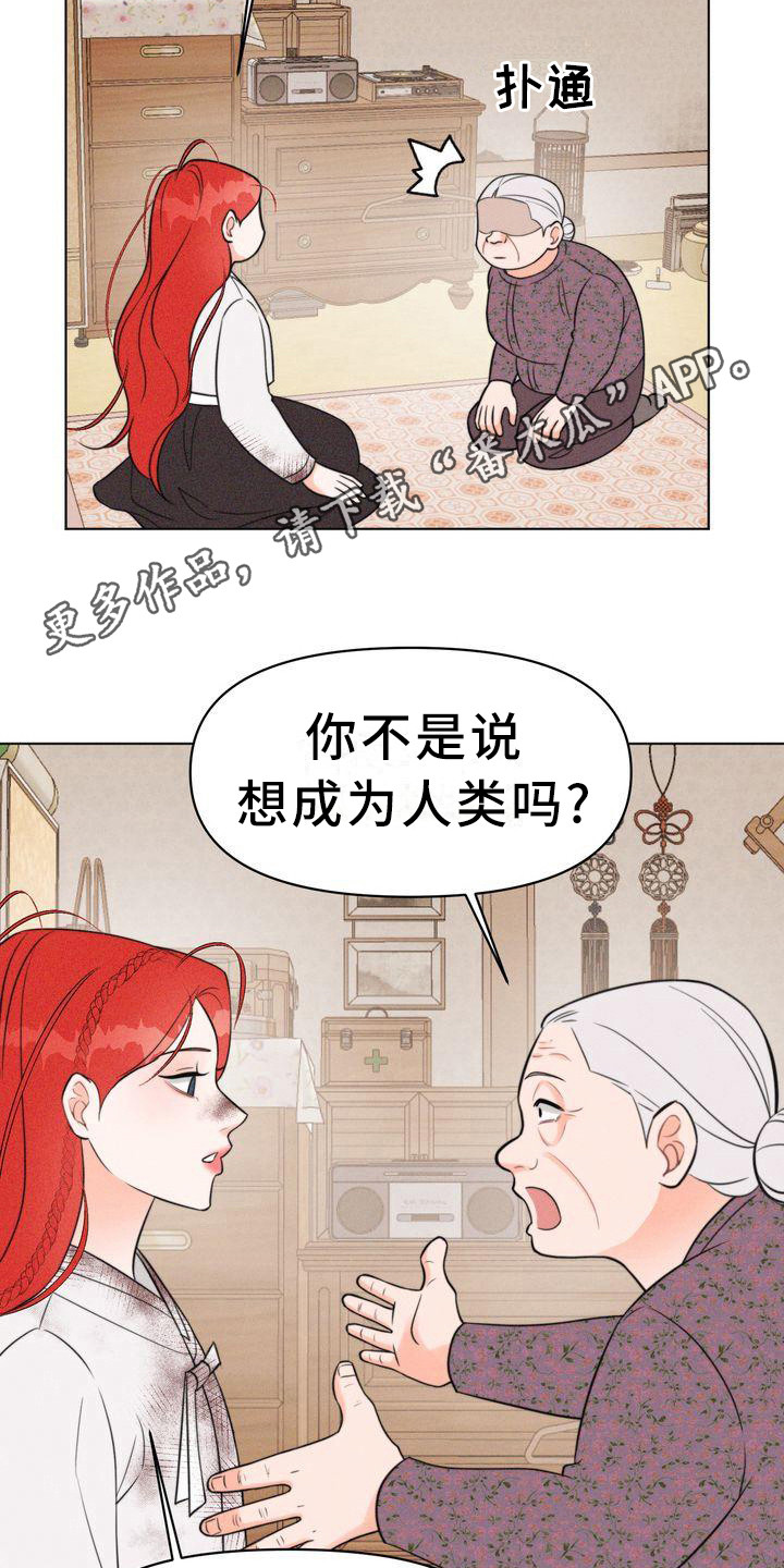 第15章：怂恿10