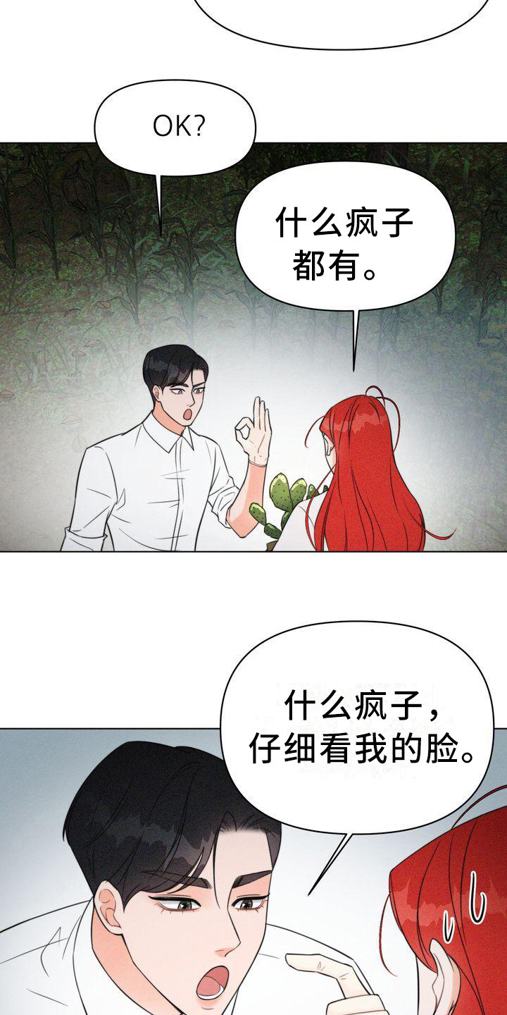 第9章：仔细看15