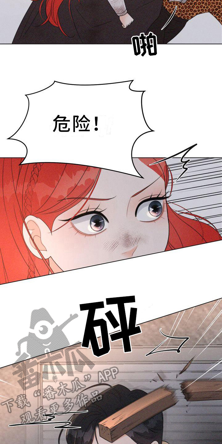 第23章：危险17