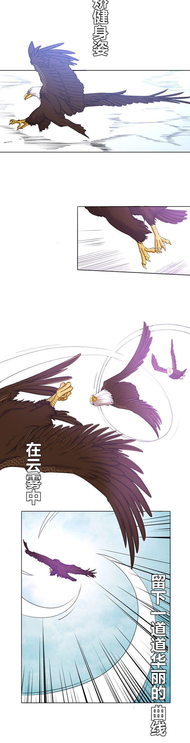 第14章：5