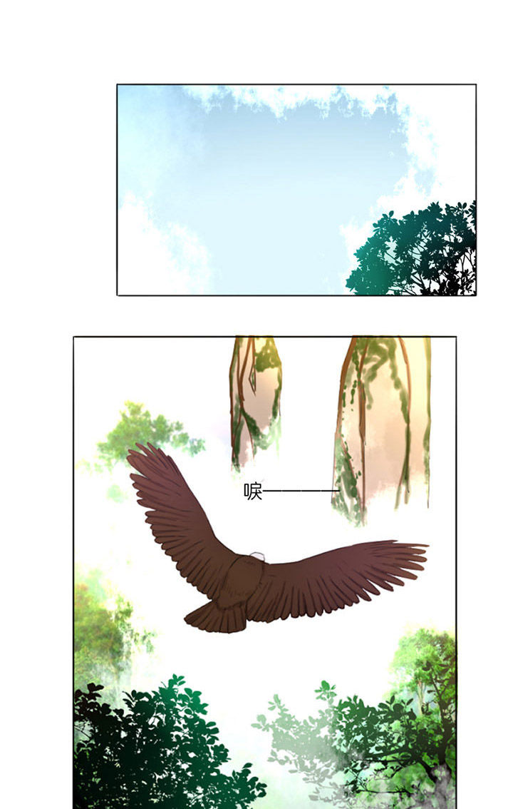 第14章：0