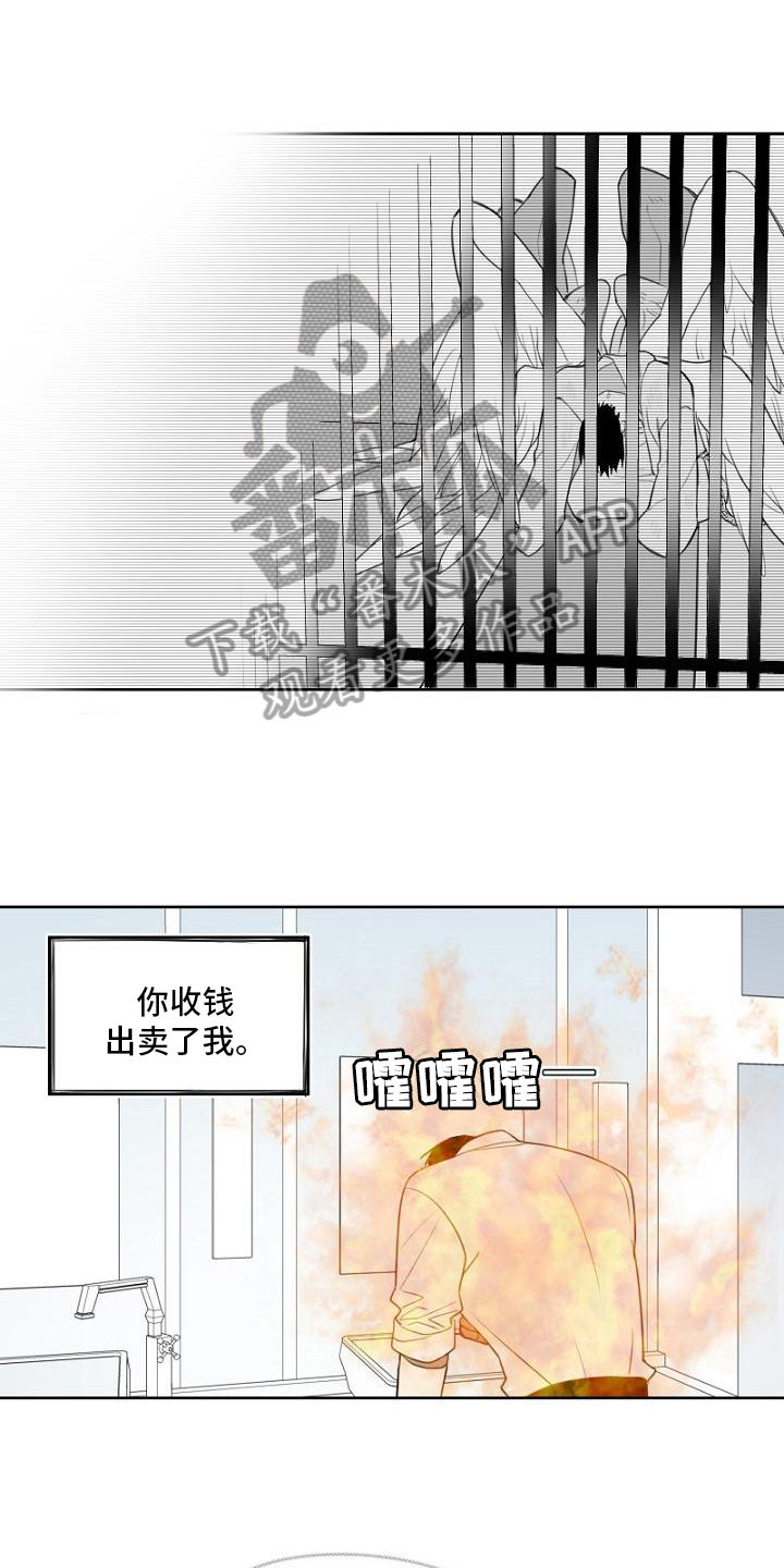 第9章：复仇之心0