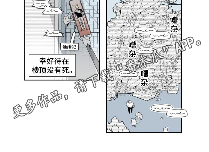 第6章：处理11
