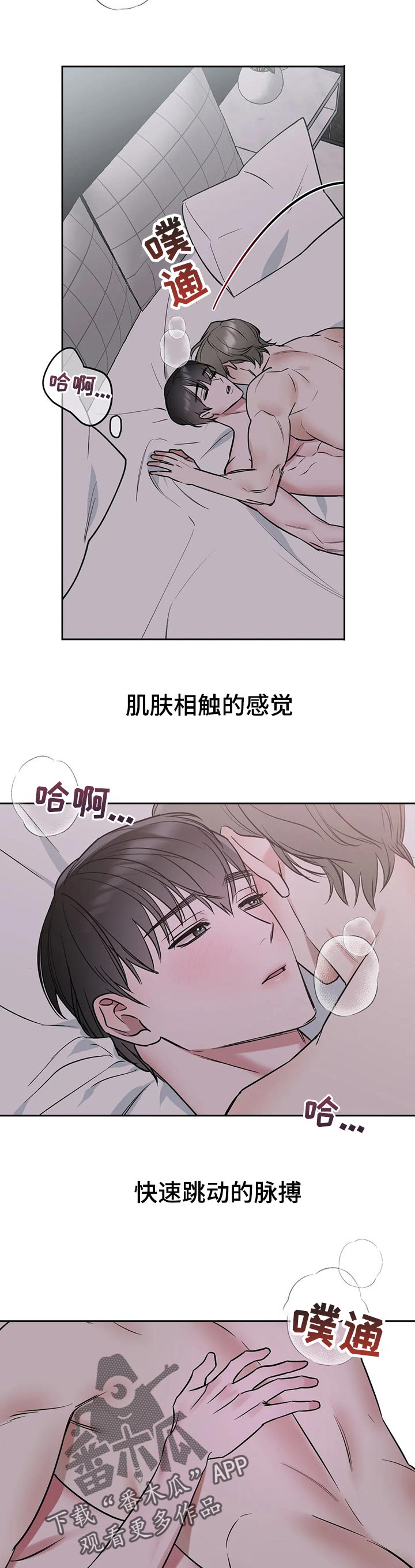 第37章：真新奇8