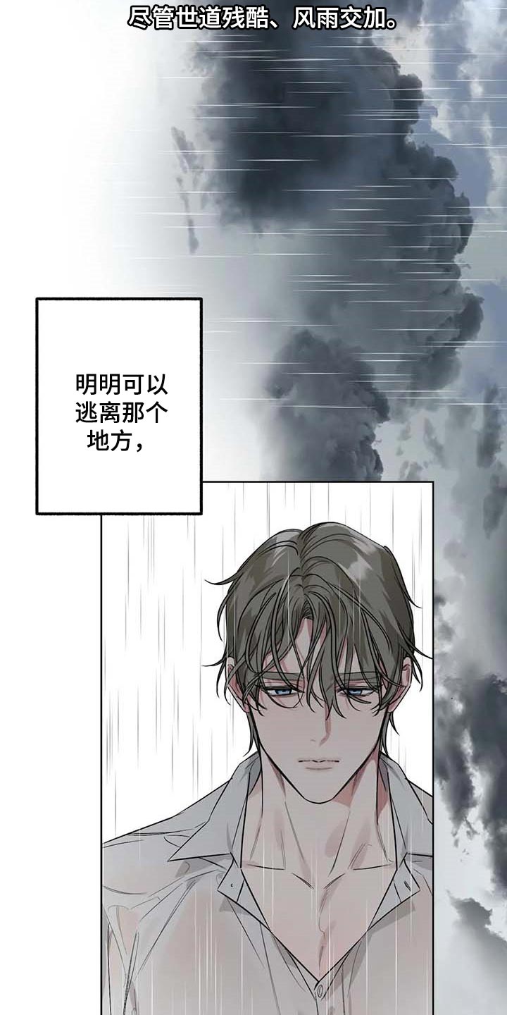 第67章：【第二季】站在雨中1
