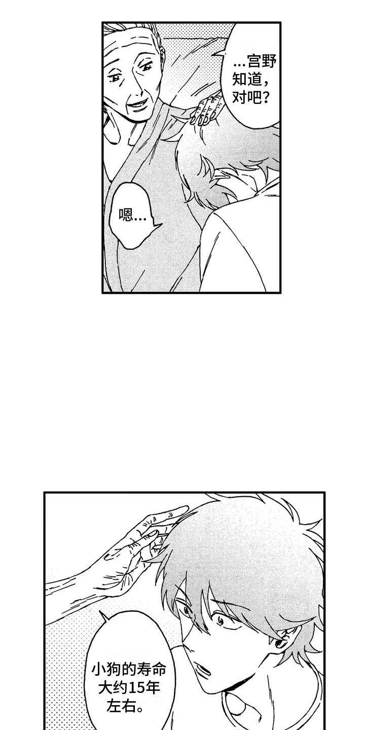 第13章：还想继续7