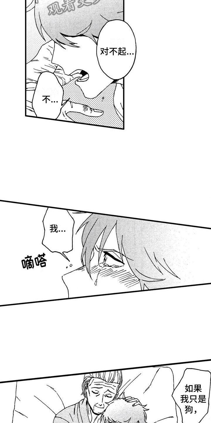 第13章：还想继续12