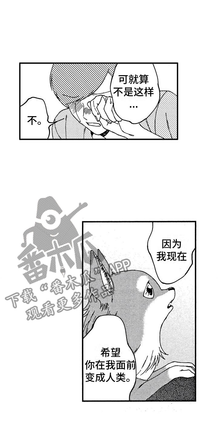 第19章：非常可爱10