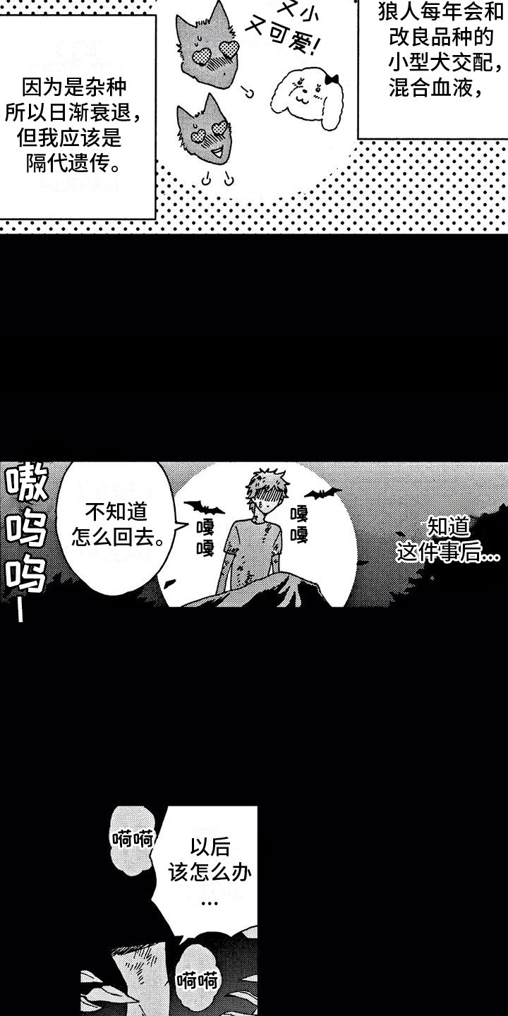 第5章：狼人5