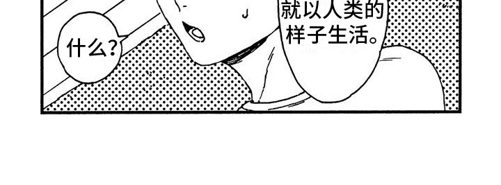 第4章：发烧了18
