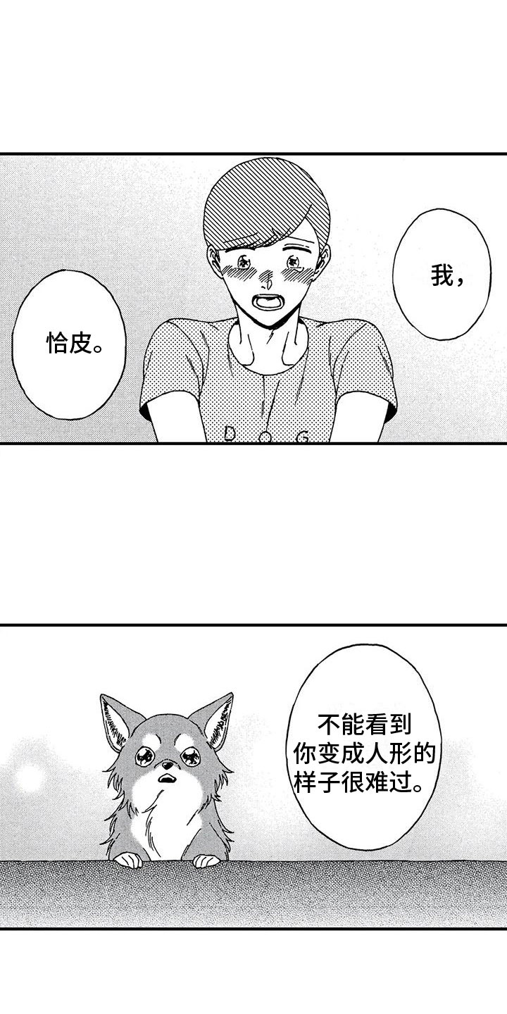 第19章：非常可爱11