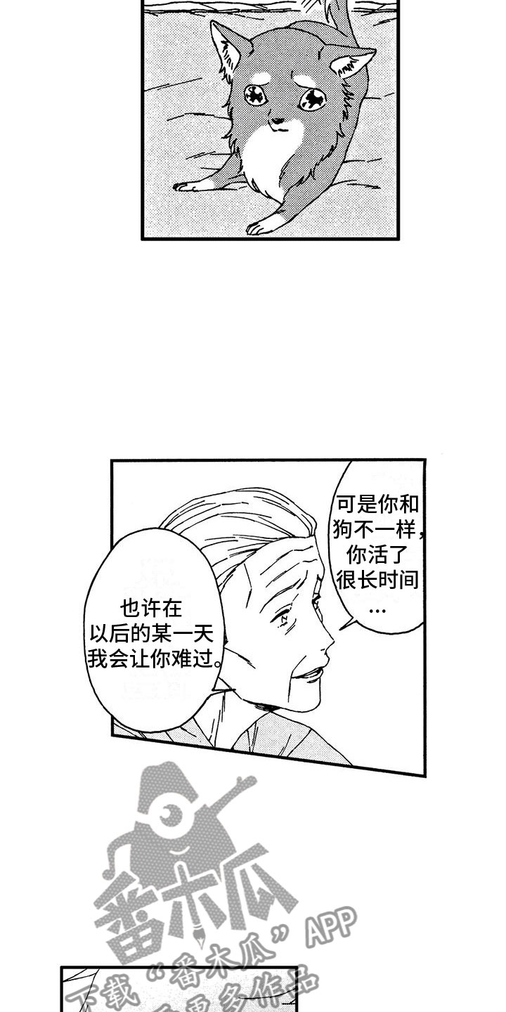 第13章：还想继续11