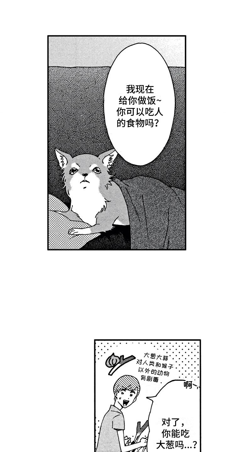 第4章：发烧了11