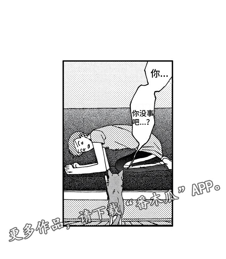 第18章：你没事吧15