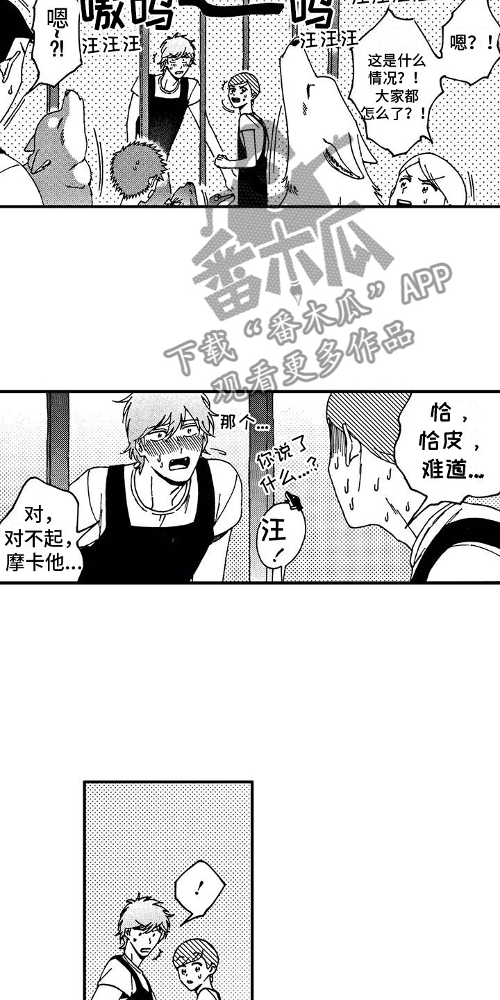 第20章：我喜欢你8