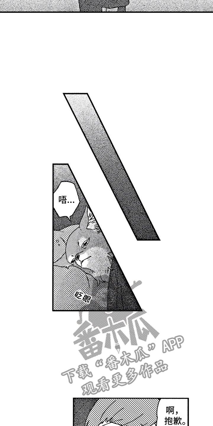 第4章：发烧了8