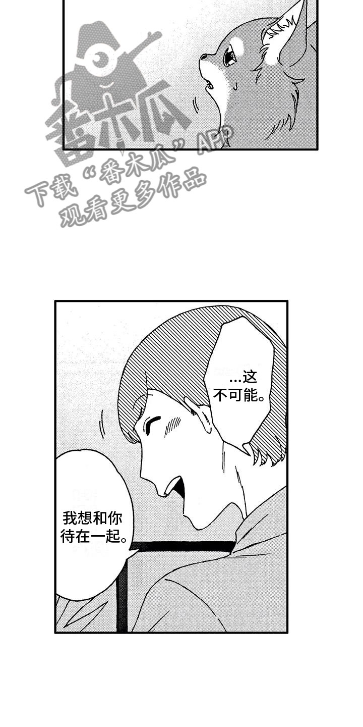 第4章：发烧了10