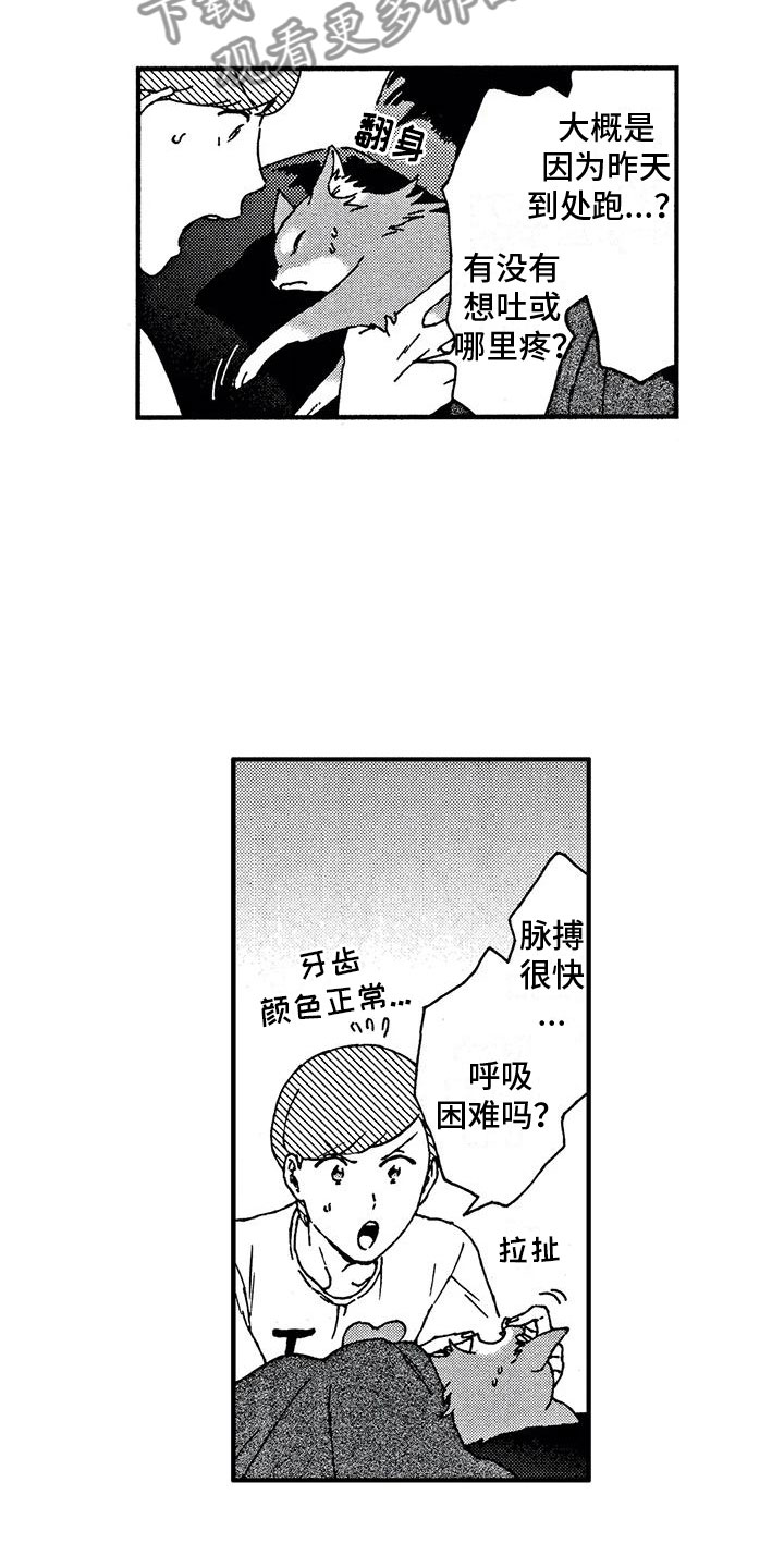 第4章：发烧了2