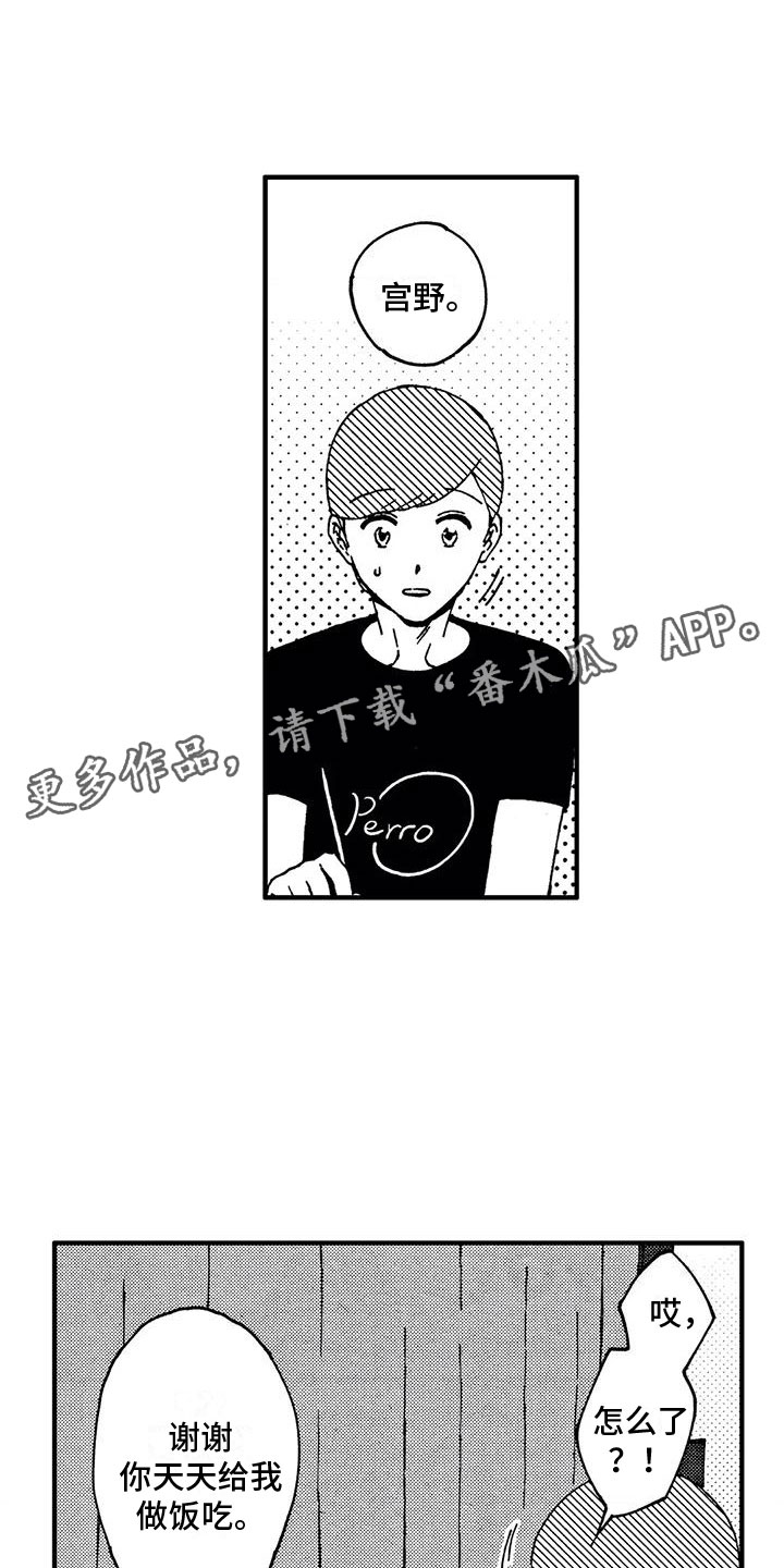 第17章：逃避0
