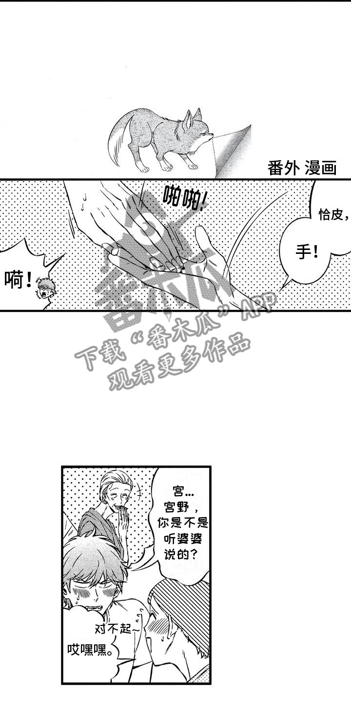 第20章：我喜欢你11