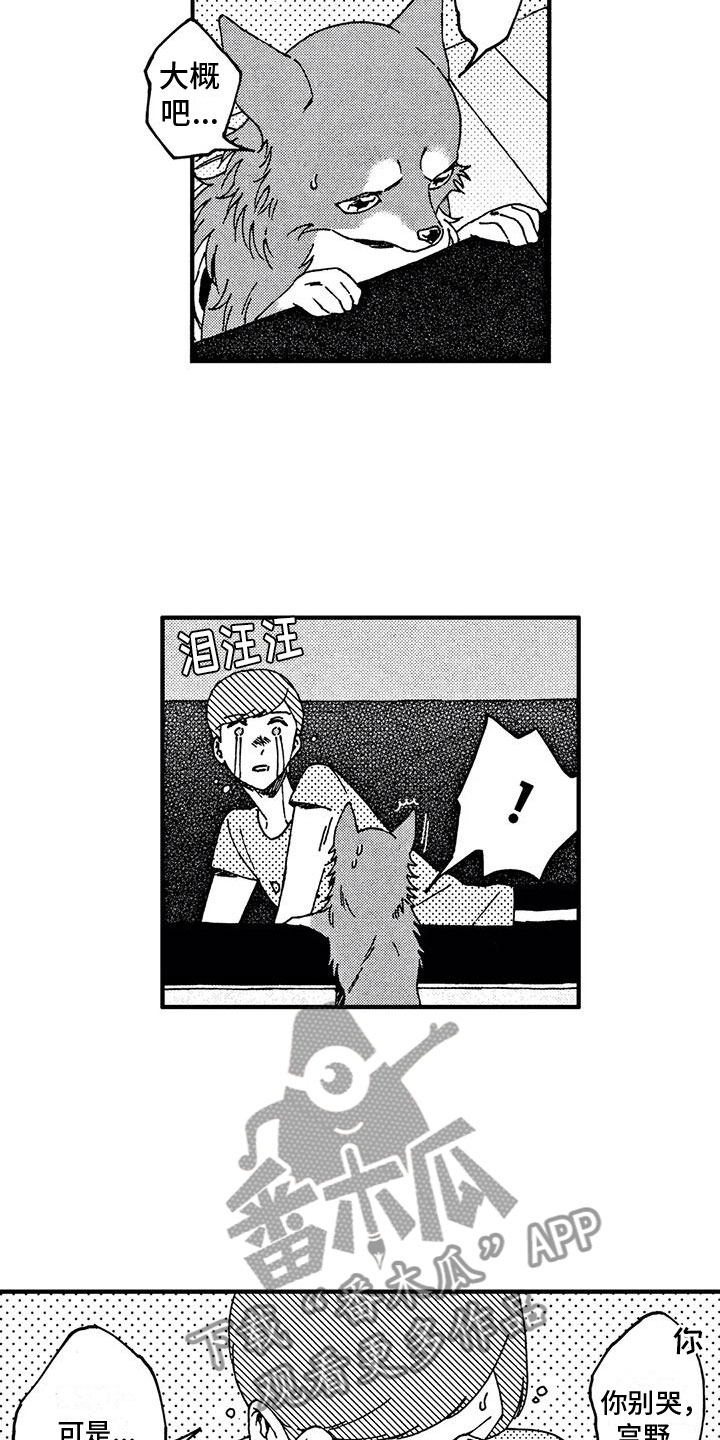 第19章：非常可爱6