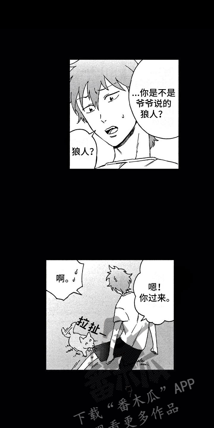 第5章：狼人3