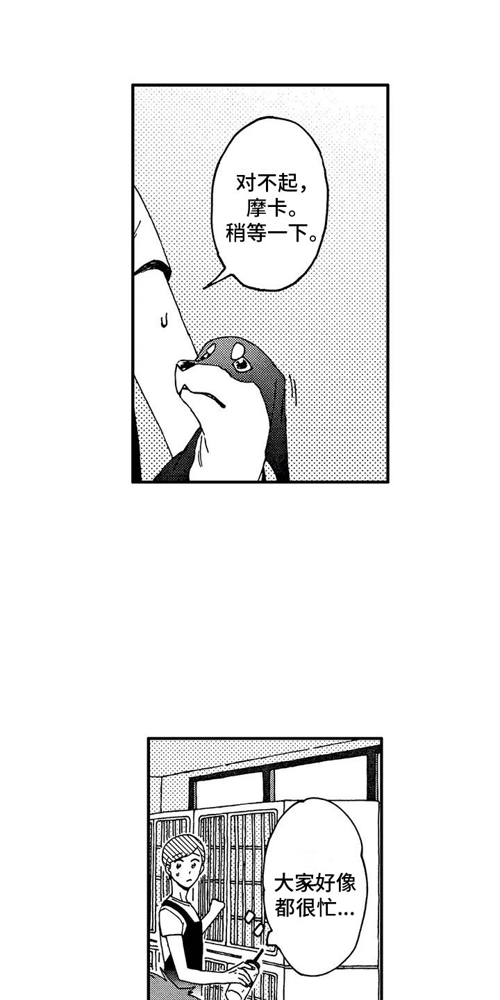 第17章：逃避9