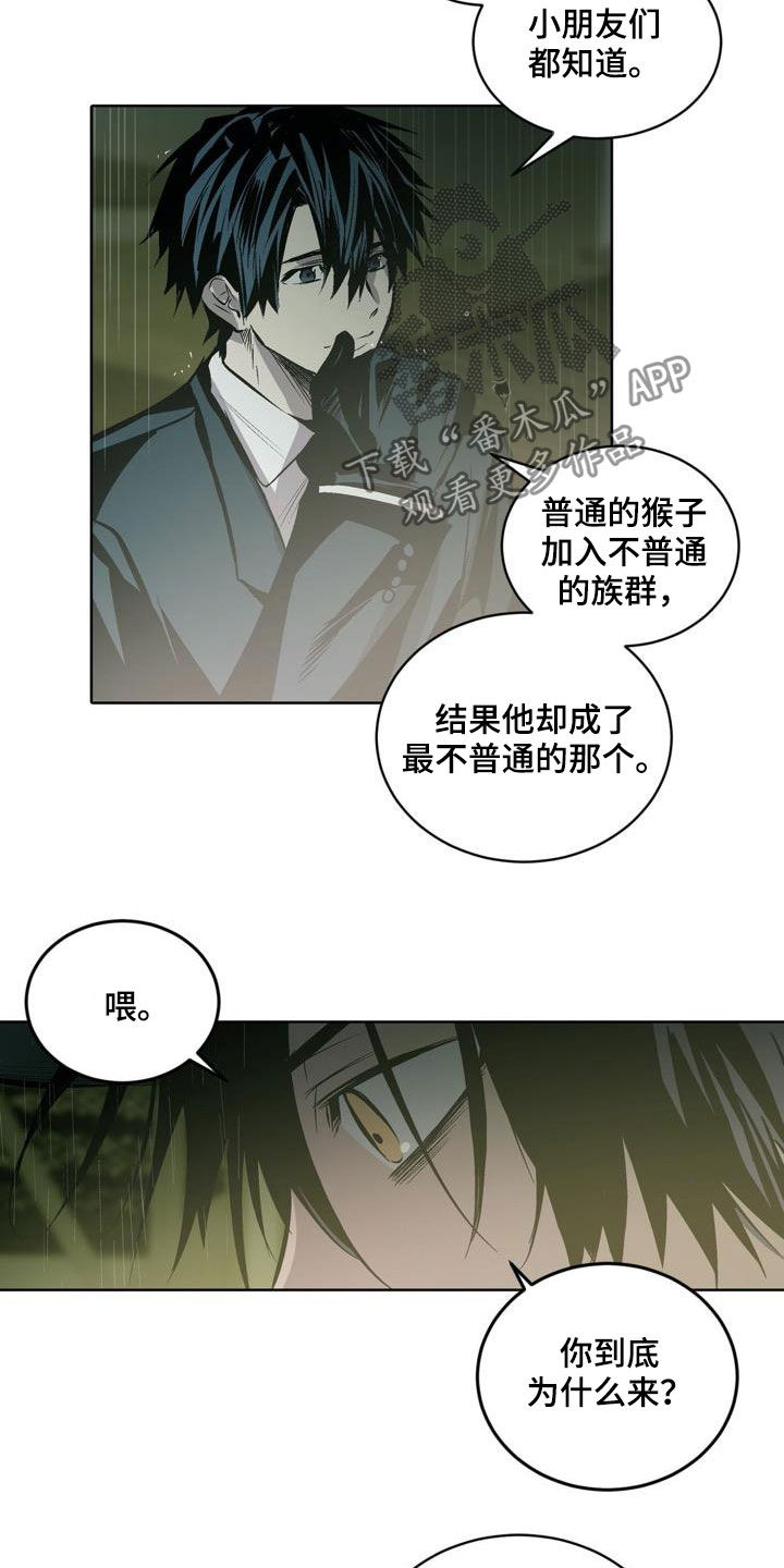 第106章：【第二季】猴子的故事6