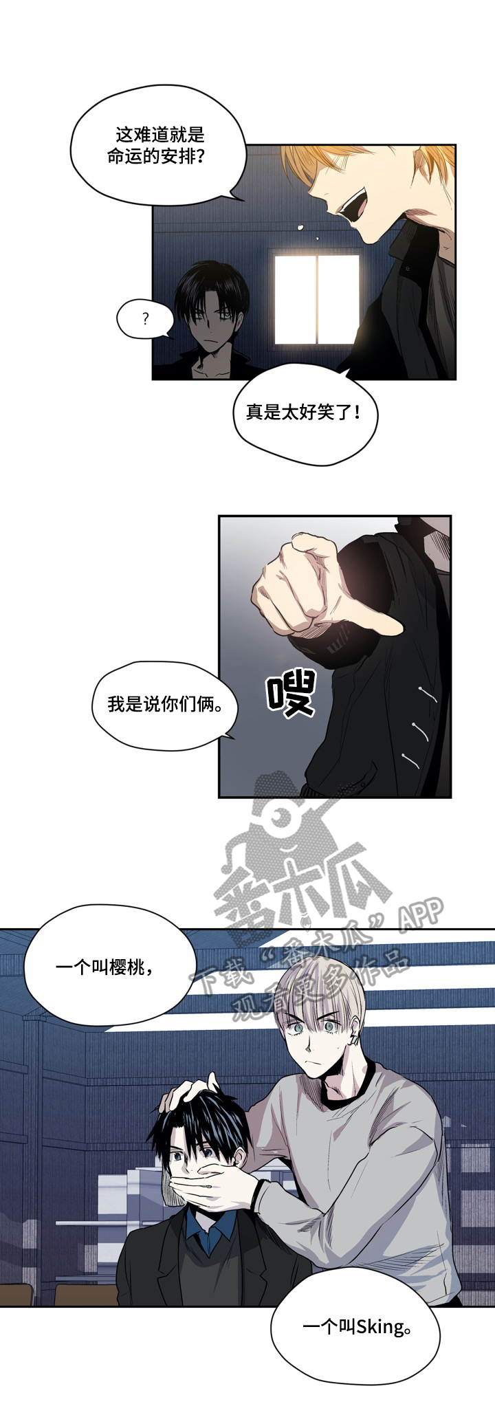 第40章：命运的安排8
