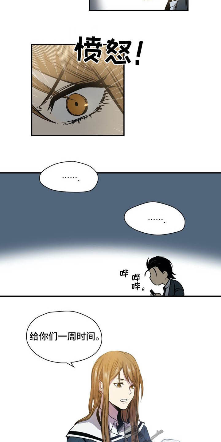 第55章：期限9