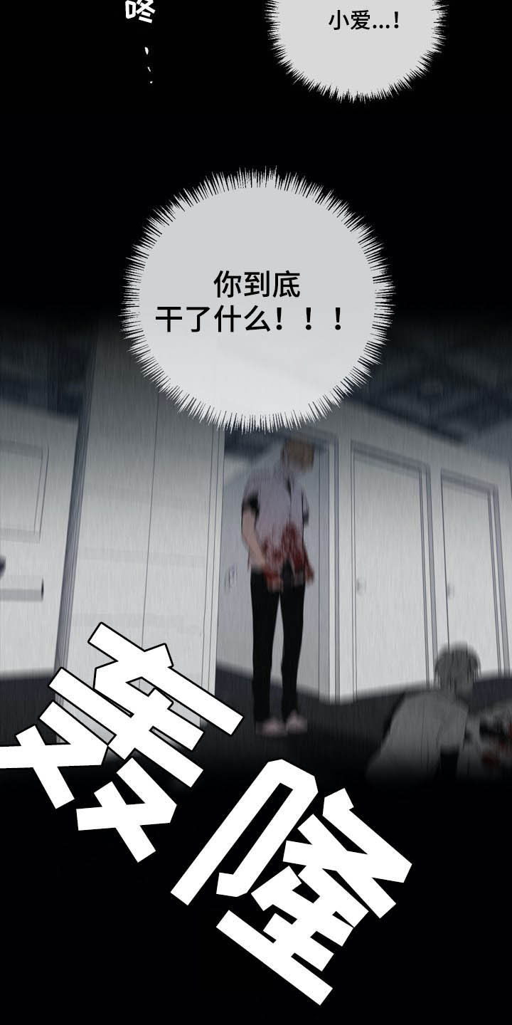 第64章：你是间谍吗2