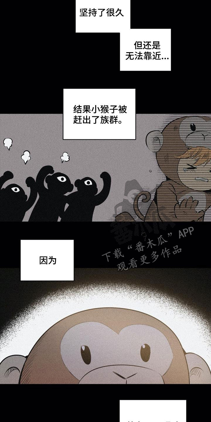 第106章：【第二季】猴子的故事2