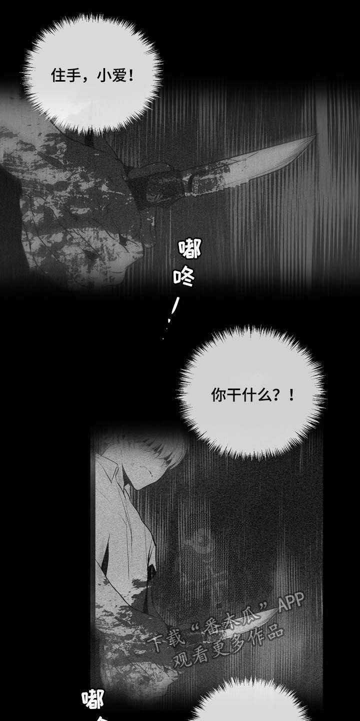 第64章：你是间谍吗1